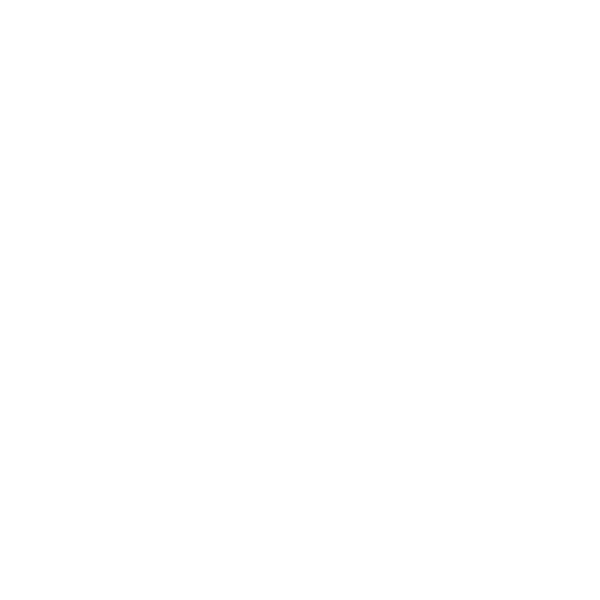 snowflake icon