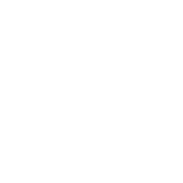 fire icon