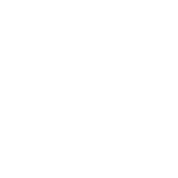 shield icon